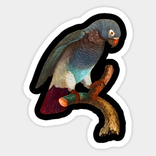 Black Panther Art - Beautiful Parrot 15 Sticker